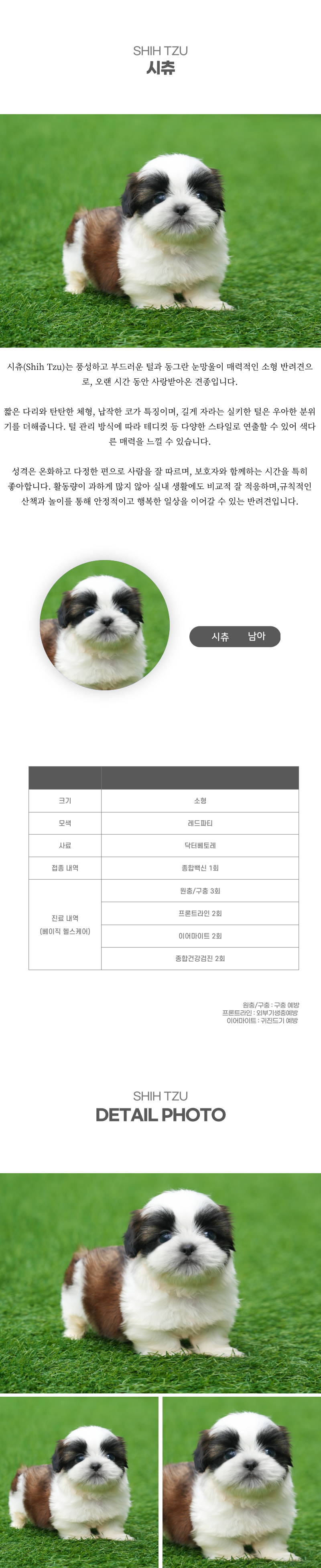 시츄_상세이미지_2